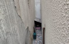 WhatsApp Image 2026-01-15 at 11.50.43 (1)