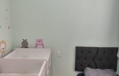 WhatsApp Image 2026-01-15 at 11.50.50