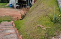 WhatsApp Image 2026-01-27 at 16.49.54